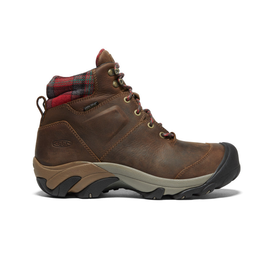 Men's Targhee II Winter Waterproof Boot - brown