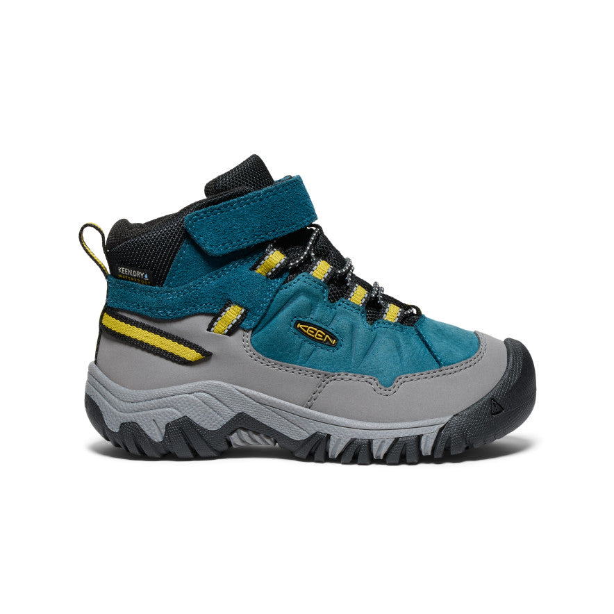 Little Kids' Targhee IV Waterproof Hiking Boot - blue