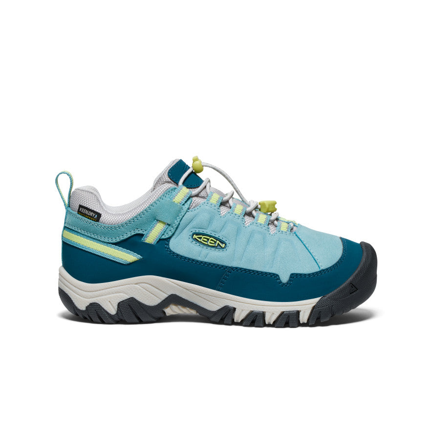 Big Kids' Targhee IV Waterproof Hiking Shoe - blue