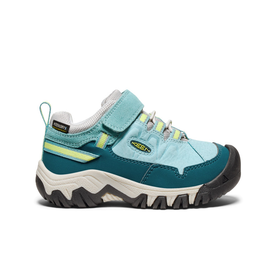 Little Kids' Targhee IV Waterproof Hiking Shoe - blue