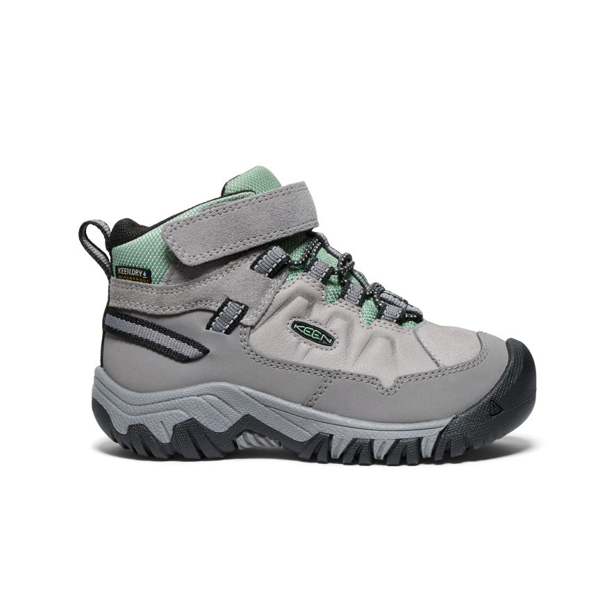 Little Kids' Targhee IV Waterproof Hiking Boot - grey